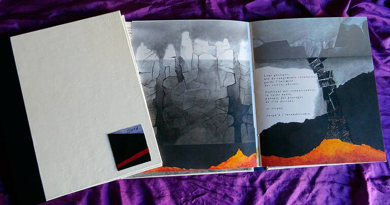 Livres d'artistes